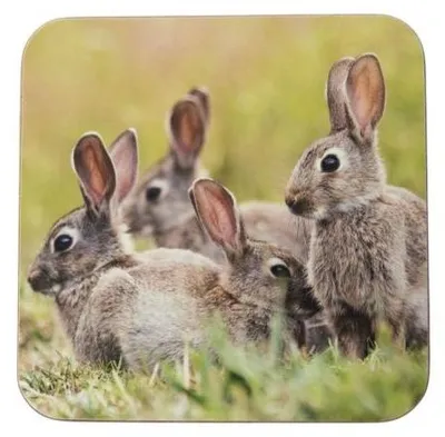 Productafbeelding van Mars & More Onderzetters, konijnenfamilie, 10x10 cm (set van 6)