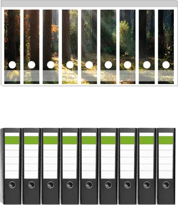Produktbild von Wallario 9 Stück breite Ordner inkl. Klebeetiketten mit Motive Sonnenstrahlen im Herbstwald -  Set mit Rückenschildern / Ordnerrücken Stickern