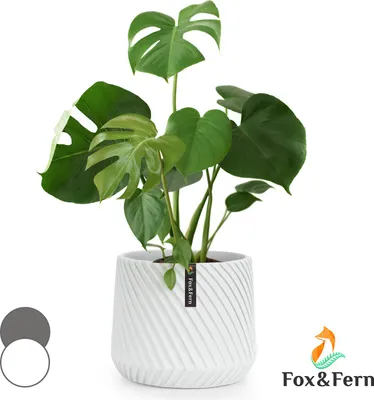 Image de Fox & Fern Pot de Fleur Interieur et Extérieur, Jardinieres Exterieur, Pot Plante Résistant UV et Gel avec Bouchon de Drainage, Polystone, Jardiniere, Pot de Fleur Exterieur Grande Taille, Pot Unique