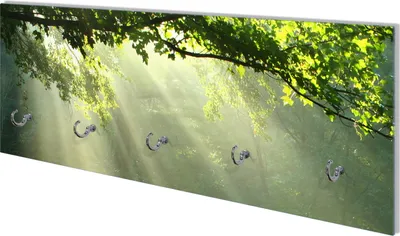 Produktbild von Wallario Flurgarderobe Wandgarderobe aus Glas, mit 5 Haken, Größe 80 x 30 cm, Motiv Sonnenstrahlen im Wald