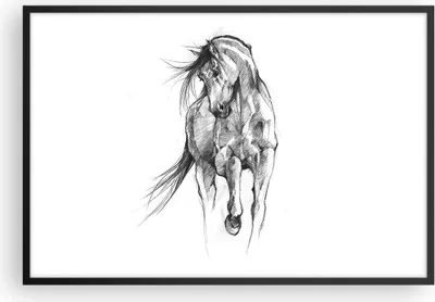 Produktbild von Gerahmtes Poster - Schwarzer Rahmen - Pferd Galopp Tier - 91,5x61 cm - Wand Bild - Wanddeko - Wandbilder - Kunstposter - Wandposter - Bilderrahmen - Bilder - Kunstdruck - P2BAA91x61-5080
