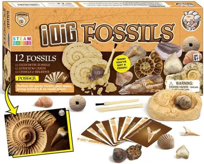 Produktbild von Fossilien Steine Ausgrabungsset Für Kinder Ausgrabung Fossilien Experimentierkästen Für Kinder Ab 7 8 9 10 Jahre