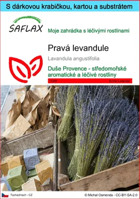 Obrázek produktu pro SAFLAX Dárková sada - pravá levandule - Lavandula angustifolia - 150 Semena - S dárkovou krabičkou, přepravním štítkem, dárkovou kartou a pěstebním médiem