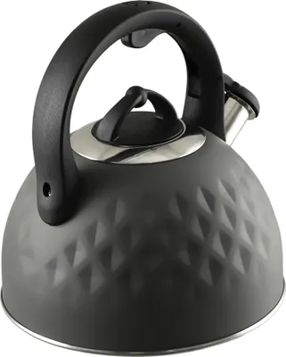 Obrázok produktu pre Varná kanvica – kanvica na sporák – 2,5 l – oceľ – pre indukciu a plyn – s píšťalkou – ergonomická rukoväť – klasický dizajn