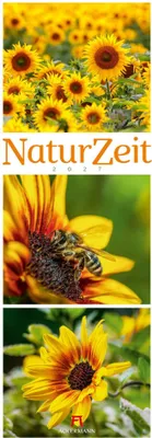 Produktbild von NaturZeit Triplet-Kalender 2027