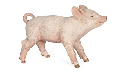 Produktbild von Papo Weibliches Ferkel, Sammelfigur, Film & TV-Serien, 34 g