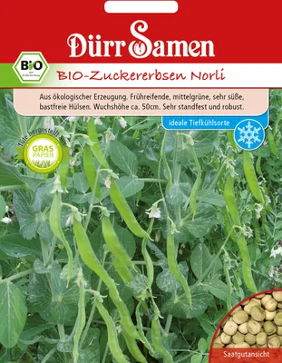 Produktbild von Zuckererbse Norli | -Zuckererbsensamen von Dürr Samen