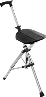 Image de Chaise canne, Assise portable, Design léger, Noir
