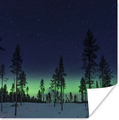 Produktbild von MuchoWow® Poster Nordlicht - Schnee - Bäume - Natur - Grün 75x75 cm - Wand Dekoration