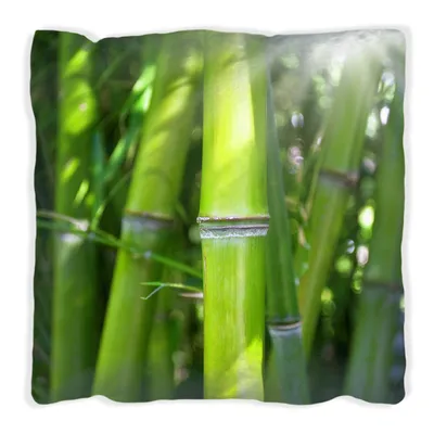 Produktbild von Wallario Premium Kissen, weiche Oberfläche, mit Motiv Bambus im Sonnenschein, Größe: 30 x 30 cm, mit weißer Rückseite
