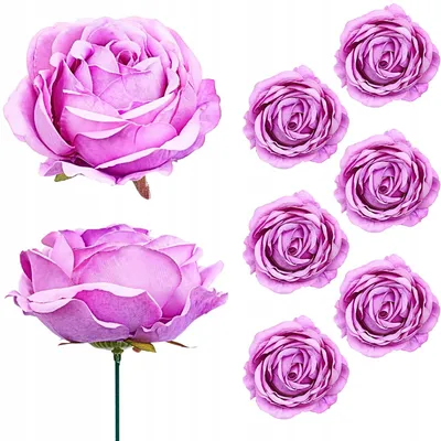 Produktbild von Topoblu Künstliche Rosenköpfe Lila für Deko 6 Stück