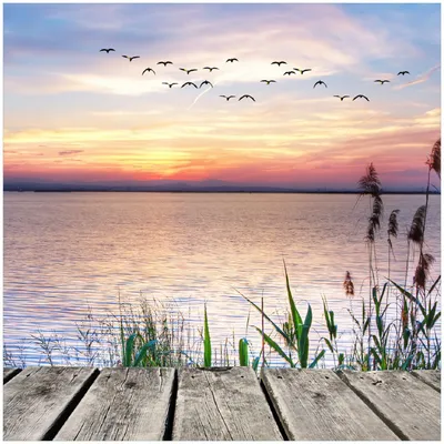 Produktbild von Wallario Premium Glasbild, freischwebende Optik, kräftige Farben, Größe 30 x 30 cm Motiv Seepanorama mit Schilf und fliegenden Vögeln
