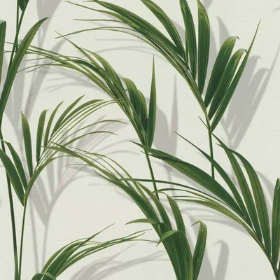 Produktbild von Vliestapete 465112 Tapete Bäume Blätter 53 x 1005 cm Rasch Freundin III Grün Weiß