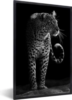 Produktbild von MuchoWow® Gerahmtes Poster Wildtiere - Leopard - Natur - Schwarz - Weiß 60x90 cm - Poster mit Schwarzem Bilderrahmen Wandposter Rahmen Foto Bilder - Kunst