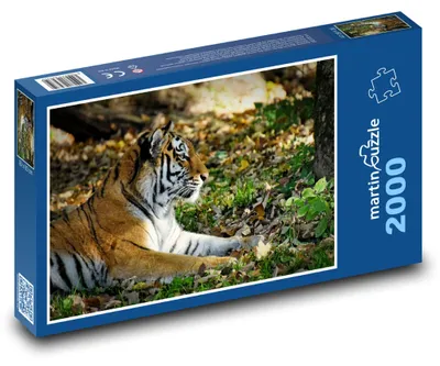 Produktbild von Puzzle 2000 Tiger in der Herbstnatur - martinpuzzle