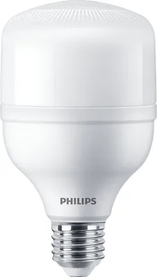 Image de Philips TrueForce Core LED E27 HPL/HPI/SON Matt 20W 2700lm 150D - 840 Blanc froid | Remplacement de 80W