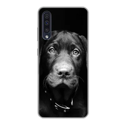 Produktbild von MuchoWow® Handyhülle Schutzhülle Hülle für Samsung Galaxy A30s Hund - Leicht - Schwarz Silikon Softcase Handy Hülle - Karteninhaber