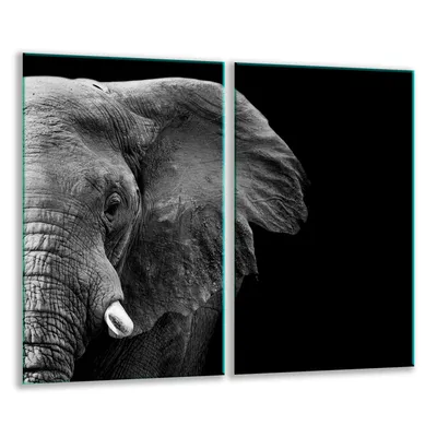 Produktbild von Herdabdeckplatten 2 teilig 30x52 Glaskeramikfeld Abdeckung Glas Elefant
