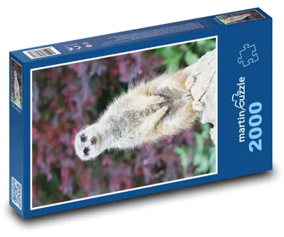 Obrázek produktu pro martinpuzzle - Puzzle 2000 - Surikata