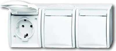 Image de Busch-Jaeger Prise triple 2300/3 EWN-54 2CKA002084A0716