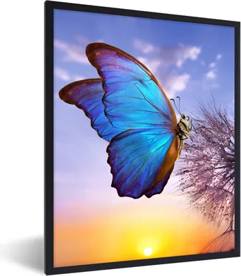 Produktbild von MuchoWow® Gerahmtes Poster Schmetterling - Sonnenuntergang - Löwenzahn - Blau 60x80 cm - Poster mit Schwarzem Bilderrahmen Wandposter Rahmen Foto Bilder - Premium - Wanddeko Wohnzimmer