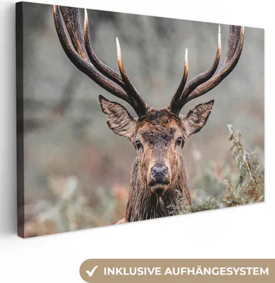 Produktbild von MuchoWow® - Leinwandbilder - Hirsche - Natur - Herbst - Waldtiere, Wandbild, Wanddeko Bilder Wohnzimmer, 30x20cm
