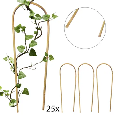 Produktbild von 4iQ Bambusbogen für Pflanzen Stütze 45 cm 25 Stück gebogener Bambusstab