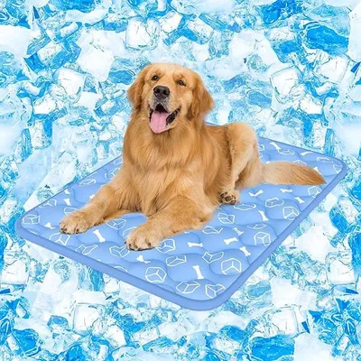 Obrázek produktu pro Chladicšª podlo?ka pro velkšŠ psy, 110 x 80 cm, pršŠmiovš¢ samochladicšª podlo?ka s mš§nšªcšª se barvou a lš¢tkou s chladicšªm obloukem, 2 cm extra silnš¢, protiskluzovš¢ a vodš§odolnš¢, ideš¢lnšª na lšŠto a cesty, ledovš§ modrš¢