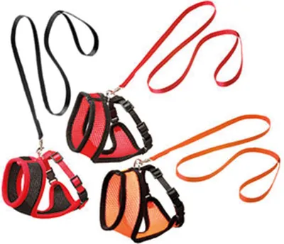 Produktbild von Karlie Katzengeschirr und Leine Harms versch. Größen und Farben, Farbe:orange-schwarz, Größe:S (Kitty)