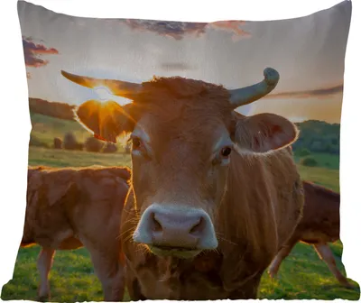 Produktbild von MuchoWow® Outdoor Kissen - Kühe - Sonne - Wiese - Landleben - 45x45 cm - Wetterfest - Lounge Kissen - Fotokissen - Dekoratives Kissen