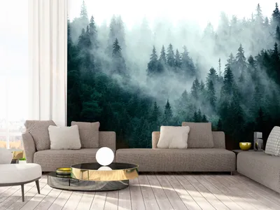 Produktbild von Vlies Fototapete Wald Nebel 400x280 cm Tapeten Wandtapete XXL Natur Landschaft skandinavisch c-B-0533-a-d