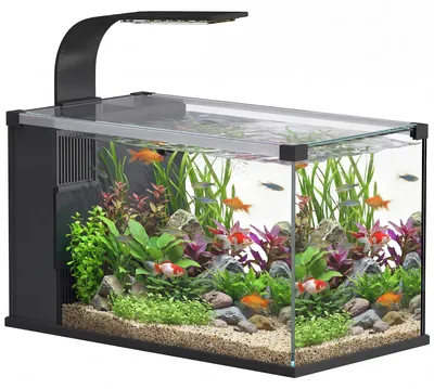 Produktbild von 24-Liter-Aquarium aus geh?rtetem Glas mit Filter, LED-Beleuchtung und Wasserpumpe