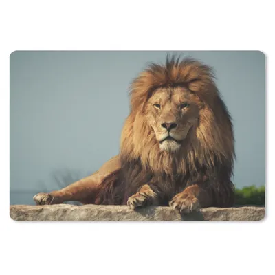 Produktbild von MuchoWow® Schreibtischunterlage Löwe - Felsen - Jagd 60x40 cm - XXL Mauspad - Großes Mauspad