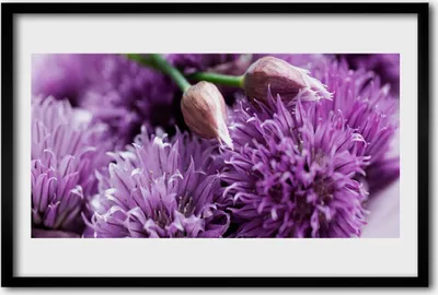 Produktbild von Bild 60x40 MDF-Rahmen Wandkunst Blumen Pflanzen