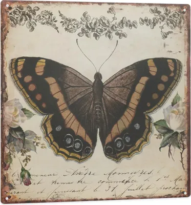 Produktbild von Moritz Retro Deko Blechschild Schmetterling Geschenk-Idee aus Metall Vintage-Design zur Dekoration