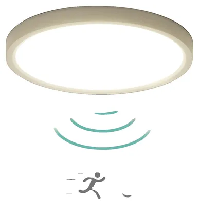 Image de Plafonnier, détecteur de mouvement radar, détecteur de luminosité, 1 pièce, lumière neutre, blanc, 16-20W