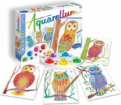 Image de Aquarellum junior hiboux - sentosphere - 692 - loisirs creatifs
