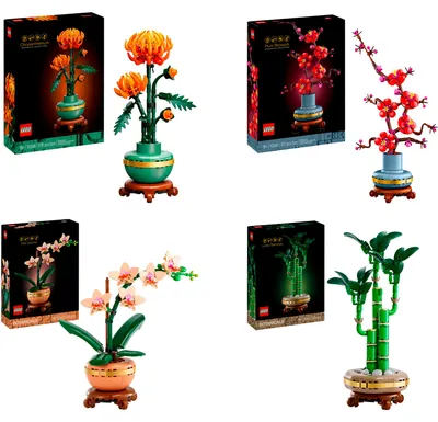 Image de LEGO Botanicals, ensemble Les Quatre Saisons, jouet de construction