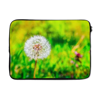 Produktbild von MuchoWow® Laptop Hülle 14 ZollLöwenzahn - Gras - Blume Laptoptasche - Laptoptasche - Stoßsicher - Schutzhaube