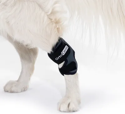 Produktbild von Sprunggelenkbandage für Hunde Ortocanis Gre M (14 - 16,5 cm)