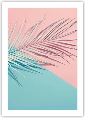 Produktbild von Poster - Poster ohne Rahmen - Blatt Rosa Türkis - 50x70 cm - Wand Bild - Wanddeko - Wandbilder - Kunstposter - Wandposter - Bilder - Kunstdruck - Wanddekoration - Wandbild - P2XPA50x70-4421