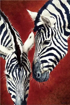 Produktbild von TPFLiving Kunstdruck LW-717 (OHNE RAHMEN) Poster - Leinwand - Wandbild - Hochauflösender Giclée-Druck, langlebig und hochwertig - Zebra Paar schwarz weiß vor rotem Hintergrund - Größe: 60x90cm