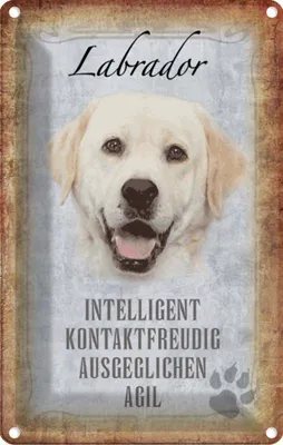 Produktbild von vianmo Blechschild 18x12 cm Labrador Hund Tier Haustier