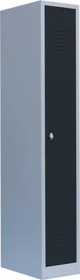 Produktbild von Spind Garderobenschrank Stahlschrank Metallschrank Kleiderspind 1800 x 315 x 500 mm Lichtgrau/Anthrazit Grau 1 Abteil, Abteilbreite ca. 300 mm