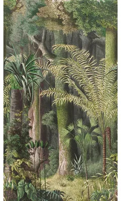 Produktbild von Sublime Fototapete Into the Woods 280x159cm