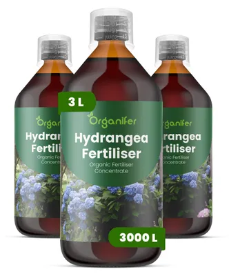 Obrázok produktu pre Hortenzie, tekuté hnojivo 3x1 L – vzorec NPK 2-1-8 – pre kvitnúce rastliny – pre zdravé listy a bohaté kvitnutie – podporuje rast koreňov a vitalitu – organické hnojivo