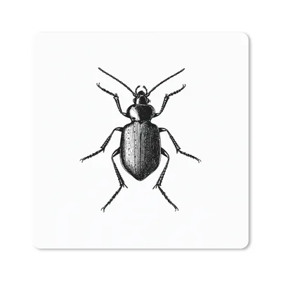 Produktbild von MuchoWow® Mauspad Mousepad Käfer - Tiere - Vintage - Schwarz und weiß 20x20 cm - Mousepads - Maus Mat - Pad - Mausunterlage - Desk Mat - Bureauartikeln