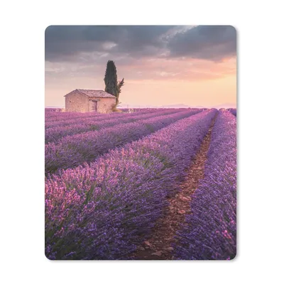 Produktbild von MuchoWow® Mauspad Mousepad Lavendel - Blumen - Lila - Feld 19x23 cm - Mousepads - Maus Mat - Pad - Mausunterlage - Mauspads - Spielen