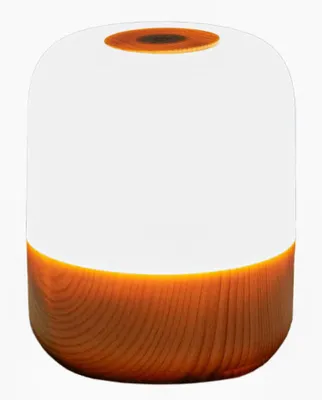 Produktbild von Anna´s Collection Mini Tischleuchte LED Bambusdruck 8,6x7,3cm 1 Stück