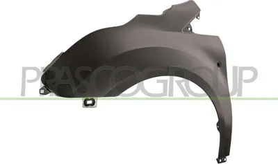 Produktbild von PRASCO FD9363014 Kotflügel Vorne Links für FORD Transit Connect V408 Kastenwagen